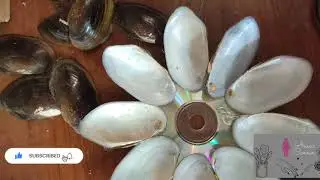 Mussels Shell 🐚 Candle 🕯 Holder #homedecor #musselsshellcraft #wastetouse #craft #musselsshellideas