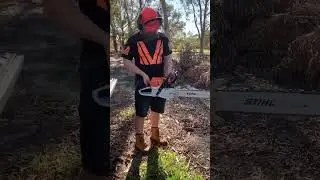 New Stihl ms462
