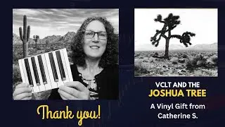 VCLT and the Joshua Tree @catherine6653