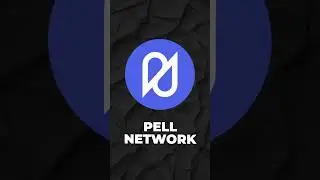 ЧТО ДАЕТ ПАРТНЕРСТВО MEZO И PELL NETWORK?