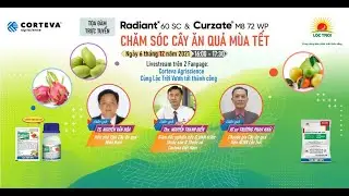 TỌA Đ&Agrave;M RADIANT 60SC & CURZATE M8 72WP_CHĂM S&Oacute;C C&Acirc;Y ĂN QUẢ M&Ugrave;A TẾT