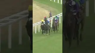 Rebel's Romance proves his class for a #RoyalAscot win in the G2 Hardwicke Stakes... 😤
