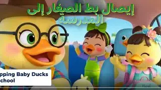 Arabic | إيصال بط الصغار إلى المدرسة | Dropping Baby Ducks to School