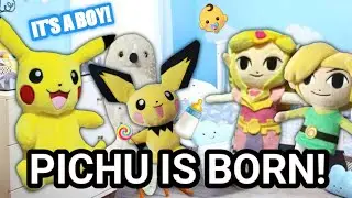 TTBS: Pichu is Born!