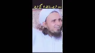 Shene.s Shah Alami