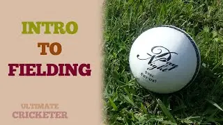 Introduction To Fielding - How To Become A Great Fielder! Tips & Tricks (Improve Your Fielding)