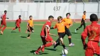 Central Brooklyn SC U12
