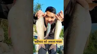 Asala Fish🐟️🐟️ #hunteryt520 #shorts #youtubeshorts #viral