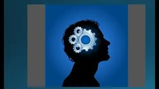 Belief Systems