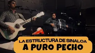 A Puro Pecho - La Estructura De Sinaloa
