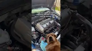 Reconsidering life choices 👁️👄👁️ #cars #automobile #vtec #funny #memes #carmemes