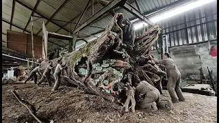 LUXURY CASTE TREMBESI WOOD‼️The most luxurious grain in Europe when this wood is split at the sawmil