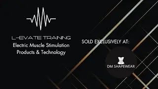 L Evate Training Pulse Waist Belt sold exclusively at DM Shapewear