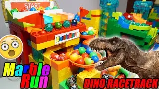 Giant Marble Run Dino Race Track | 6 Lanes | 4 Elevators | 15ft Long | 5 Day Build