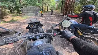 Adventure Group Ride Healesville offroad & dirt bike trails.