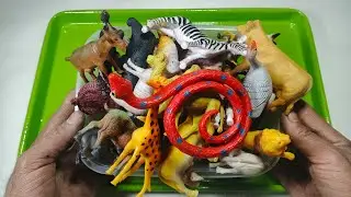 Cow Giraffe Elephant Tiger Panda Rhinoceros Animal Toys, Asmr