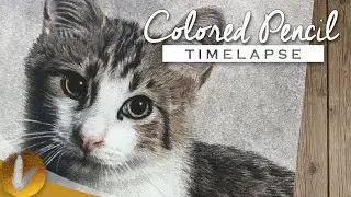 Realistic Cat Colored Pencil Drawing | Timelapse