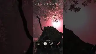 Calling the Kill👍