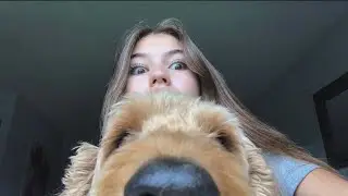 Ava Rose TikTok