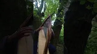 Harp and the Wise Oak/Арфа и Мудрый Дуб  #soundhealing #harp #дживалёс #арфа