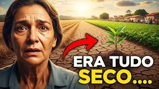 A Viúva Herdou Apenas Um Campo Seco — Mas o Que Brotou Ali Mudou o Destino da Cidade”