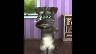 tom's freund die furzkanone