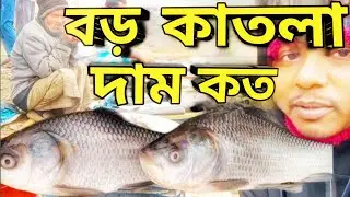 কাতলা মাছের দাম কত | Katla Fish Price Today in Bangladesh”2026