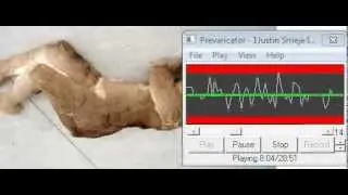 JUSTIN SMEJA INTERVIEW VSA LIE DETECTION SOFTWARE! PT-1