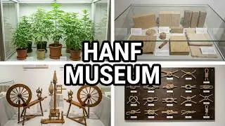 Я прогуливаюсь по Берлинскому музею конопли: живые растения 🍃