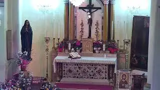 Live dalla parrocchia Ss. Pietro e Paolo di Copparo