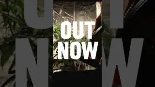 Video on HOW I USE A TRELLIS TO MAXIMIZE MY CANNABIS YIELD OUT NOW! #Trellis #maryjane #420