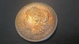**👉MUCHO OJO! DOLLAR MAS COMUN $$13 MIL DÓLARES 💵💵👈☝️ 1921 MORGAN MS 67
