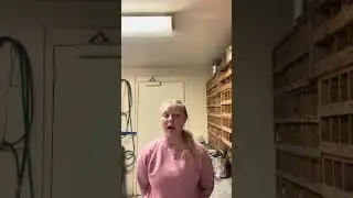 Performance Bulls 10/4 AddyBeth