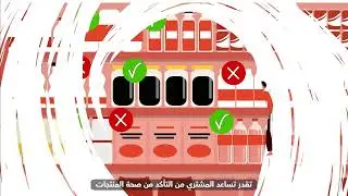 Qara's Digital Eco-System