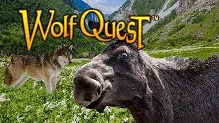WolfQuest: How to Hunt Floppy the Moose (PC USERS. Mobile in Description)