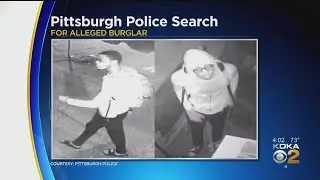 Police Search For Pizza Shop Burglary