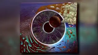 PINK FLOYD - COMING BACK TO LIFE [FLAC 44100Hz - 16Bits]