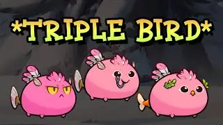 *TRIPLE BIRD* Axie Origin | Axie Infinity | Gameplay