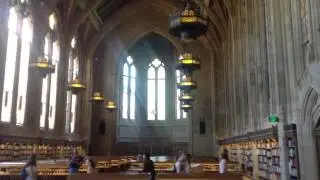 Washington University's Library