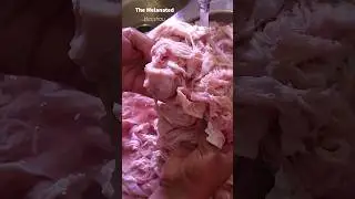 How to clean....Chitterlings