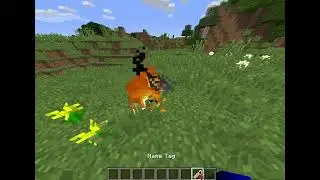 i got ZERO items (Glitch)