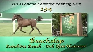 H134 Beachslap LSYS 2019