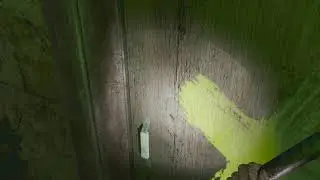 inraysofthelight