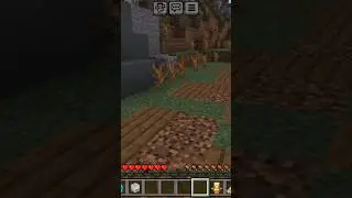 Introducing MandieTheCandie