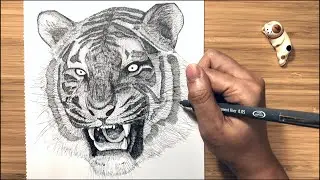 Tiger drawing 🐯 | Pen & Ink Art | Realistic．Step by Step