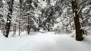 Tug Hill Cross country ski, Osceola NY :)