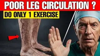 Over 60? Do THIS 1 Exercise for Poor Leg Circulation (No Gym Needed) | Senior Health Tips
