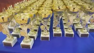 Кубок янтарного  края KWF России 17 сентября 2017