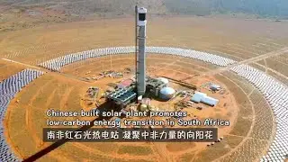 Chinese-built solar plant promotes low-carbon energy transition in South Africa