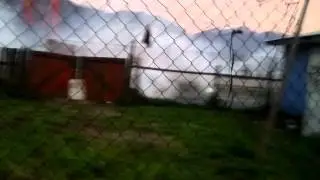 24022012020